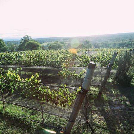 Cabana Sol Finca Pu Duam บียา เฮเนรัล เบลกราโน ภายนอก รูปภาพ