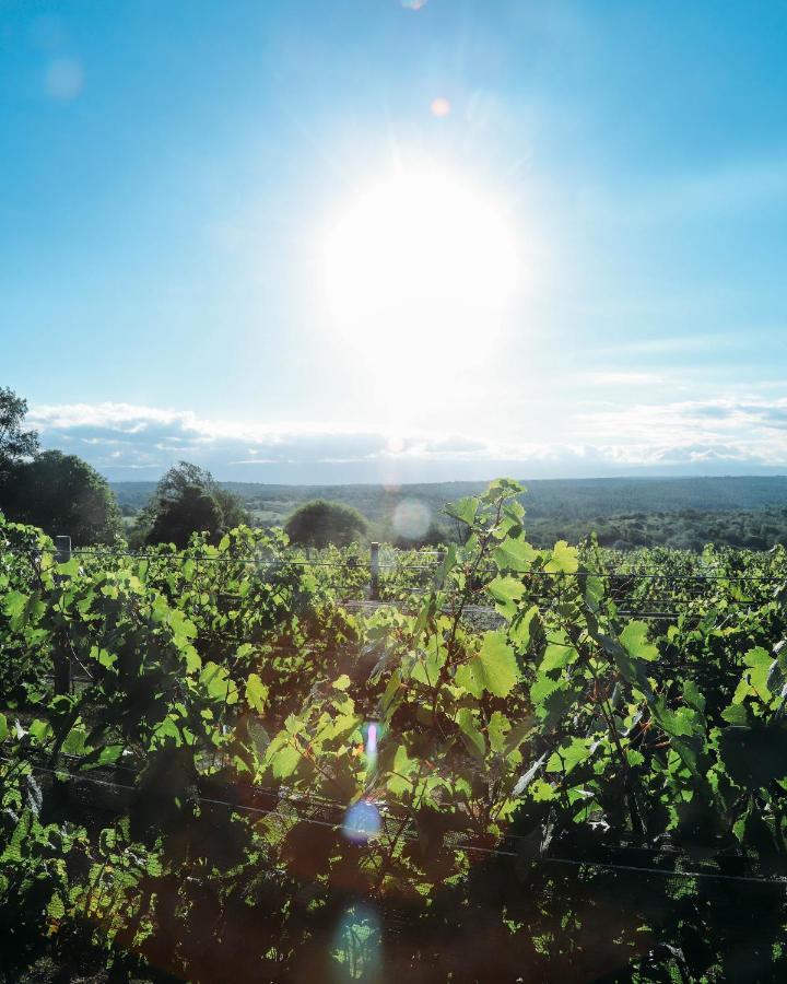 Cabana Sol Finca Pu Duam บียา เฮเนรัล เบลกราโน ภายนอก รูปภาพ